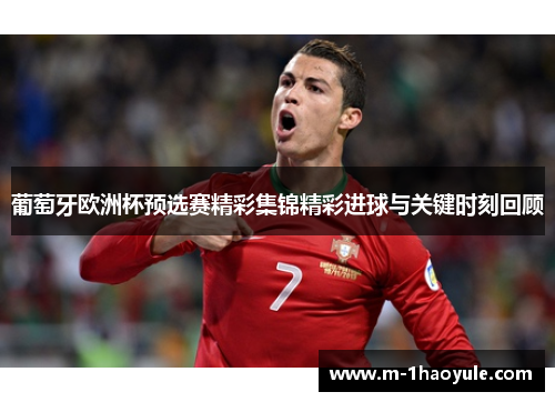 葡萄牙欧洲杯预选赛精彩集锦精彩进球与关键时刻回顾