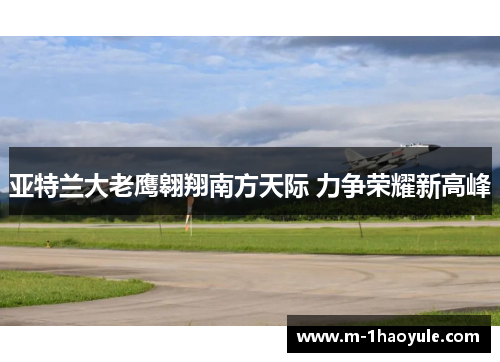 亚特兰大老鹰翱翔南方天际 力争荣耀新高峰