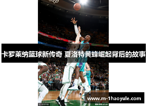 卡罗莱纳篮球新传奇 夏洛特黄蜂崛起背后的故事