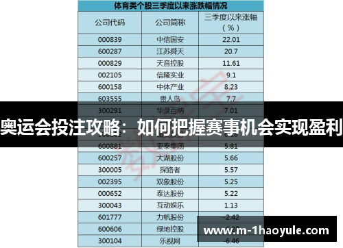 奥运会投注攻略：如何把握赛事机会实现盈利